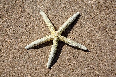 3ds、WiiU的eShop关闭后 上千款数字版游戏成绝版